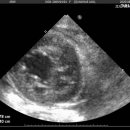 지중해동물병원 이미지