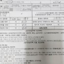 이사가기_HF 청년 버팀목 대출+SH 장기안심주택 보증금지원형_목적물변경, 증액, 추가대출 실패 후기