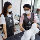 원포인트애견미용학원
