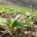 이형재농장 이미지