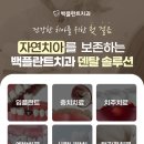 백플란트 치과의원 네이버블로그