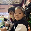 강남제비스코(주)평택 | 평택)영신지구)지제역) 경희대 승리태권도 띠 승급 체계 국기원후기