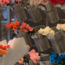 럭키슈에뜨신세계하남 | 👒 : 높고 푸르던 여름날, 6월의 해삐𝐋𝐢𝐟𝐞 ☁️⡱ 𝐅𝐞𝐚𝐭. 맛있는 먹부림, 내돈내산 셀린느 𝗕𝗮𝗴 후기🛍
