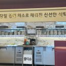 진베리코 이미지