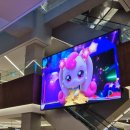 인월드 | 판교 파미어스몰 티니핑 월드 인 판교 방문 후기