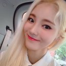 진솔방역