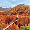 ☆누비라 산악회 제64회 정기산행 안내☆ 이미지