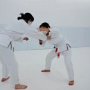 경산주짓수