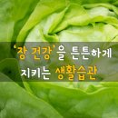 행운생활건강