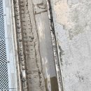 연천셀프세차장 이미지