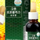 그린 네이티브