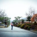 세종투어 이미지