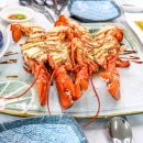제주수산물회센타 이미지