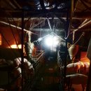 경향농장 이미지