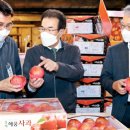 중앙공판장 이미지