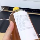 지효담 네이버블로그