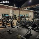 캐리스타휘트니스 이미지