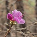 경기둘레길 안산49코스 이미지