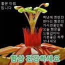 7월 카톡인사말 이미지