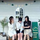 니은시옷 스테이 이미지