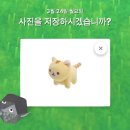 고양이한테 방구 뀐 후기