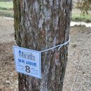 칠봉로 | 원주 두루뭉 캠핑장 애견 동반 가능 캠핑장 솔직후기 강변뷰 명당자리 주변 가볼 만한 곳까지 한 번에