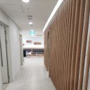 은피부과의원