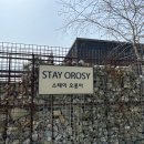 스테이오롯이