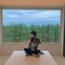 엄브로속초 이미지