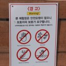광주 가볼만한곳 송산승마스쿨 & 양떼목장 : 아이들 견학장소로도 강추합니다~