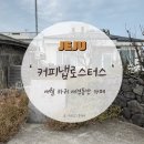 [제주| 서쪽 ] 애월 애견 동반 구옥 감성 카페 | 커피냅로스터스 제주