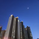 강남역서초써밋롯데캐슬공인중개사사무소 이미지