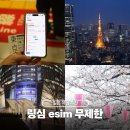 망경로 | 일본 도쿄여행 이심 추천 링심 사용법 로컬망 esim 사용 후기