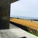 흰고래 숨비 이미지