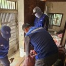 온새미로 이미지