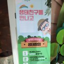 생태영상센터 | 시립 반석산 에코스쿨 생태탐험일지 미디어영상체험 +화성시 미디어센터 이용후기 (인화용 사진기 대여...