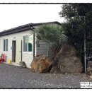 팜핑제주 이미지