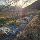 수아농원 이미지