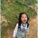 TL태권도 이미지