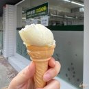 삼리로1 | [내돈내산] 대전 문화동맛집 냉삼리 자연의 성찬 제육쌈밥 솔직후기