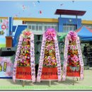 구지 오설 Daum카페