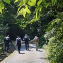 대전둘레산길(1구간) 이미지