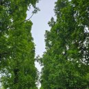 순천만국가정원 국가정원식물원 화장실 이미지