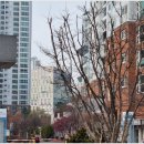 All In 토박이공인중개사사무소 | 송도웰카운티3단지 아파트, 역세권·생활권 올인원으로 누리는 미래 가치 리얼후기