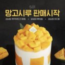 시루 티스토리