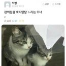 호시탐탐 이미지