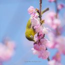 부산배화학교 이미지