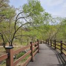 오공공원 이미지