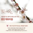 3/15(금요무박)~16(토) 광양 백운산일출/ 매화마을 구레 산수유 축제 이미지