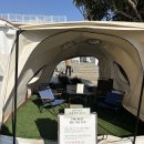 파란목장 | [제주 여행] 내돈내산 솔직후기, 아이와 부모님 모두 만족한 '아침미소목장' 3시간 순삭 코스!